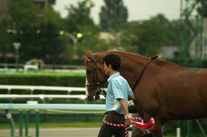 冻结商品2