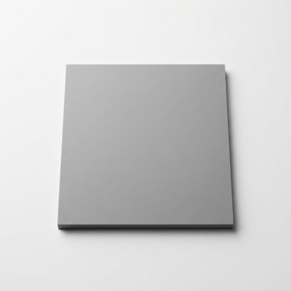 Black-and-white model portrait photo print